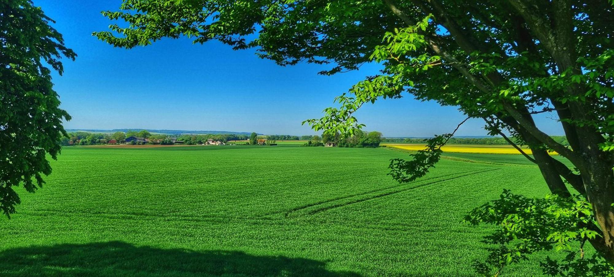 Gite Du Grand Frene Orrouy Экстерьер фото