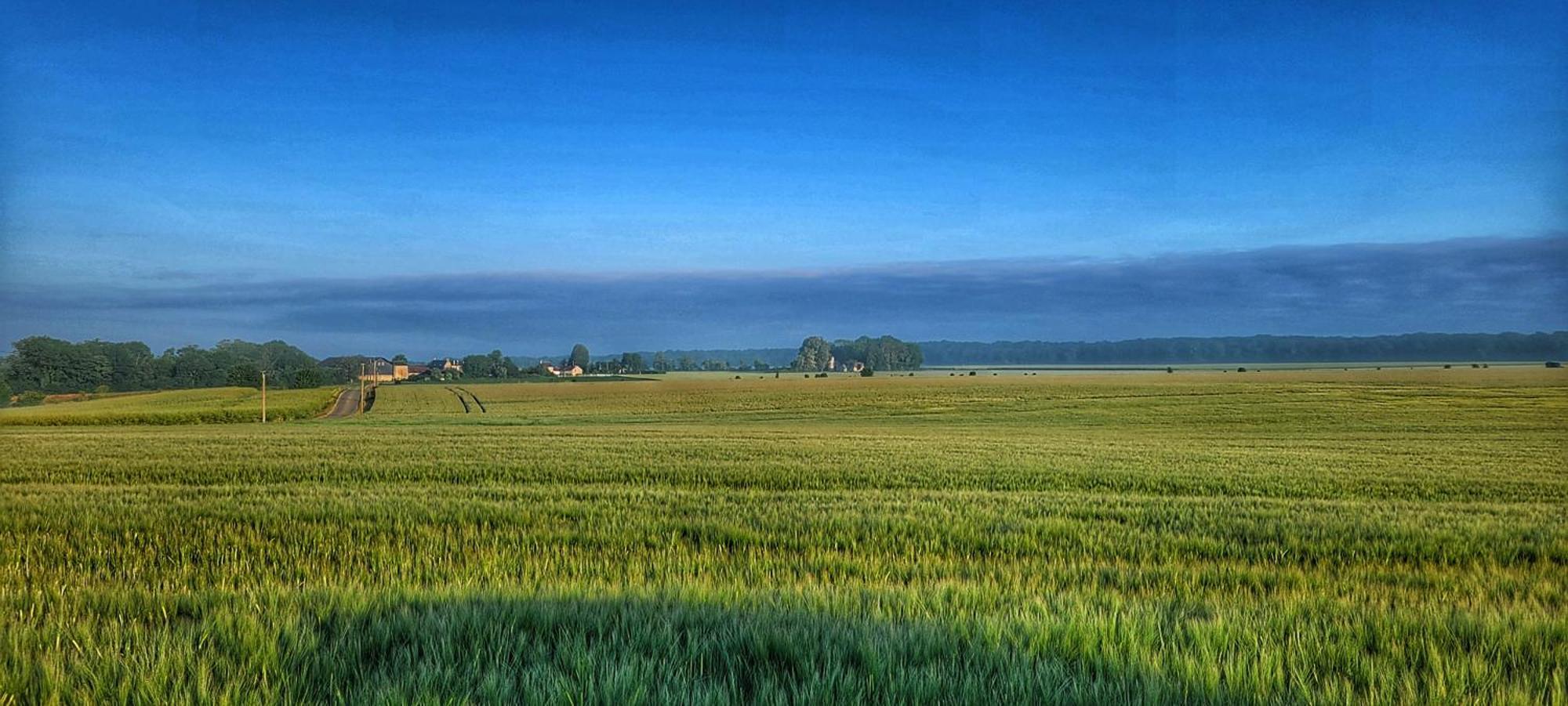 Gite Du Grand Frene Orrouy Экстерьер фото